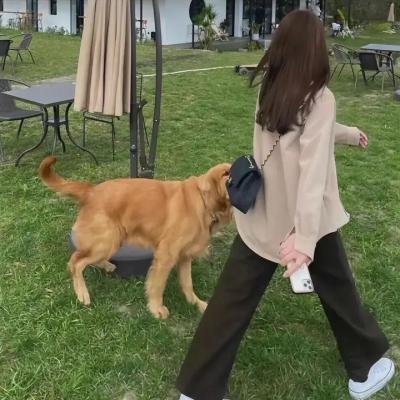 杜巴先生